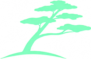 Torrey Pines Design